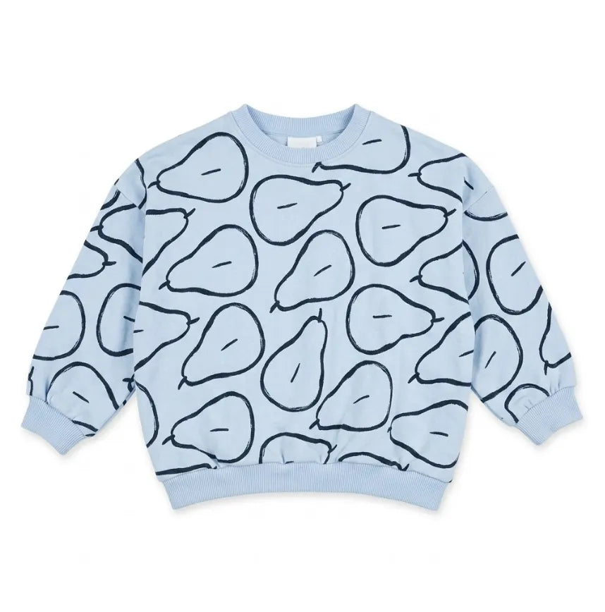 Zara Boy's Light Blue With Fruit Printed Sweatshirt | Zara in Lebanon