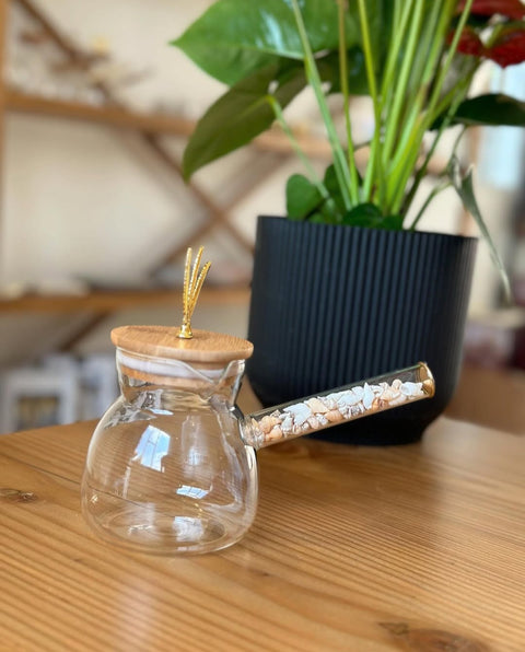 SD Borosilicate Glass Coffee Pot 400ml HD18-682 | SD In Lebanon
