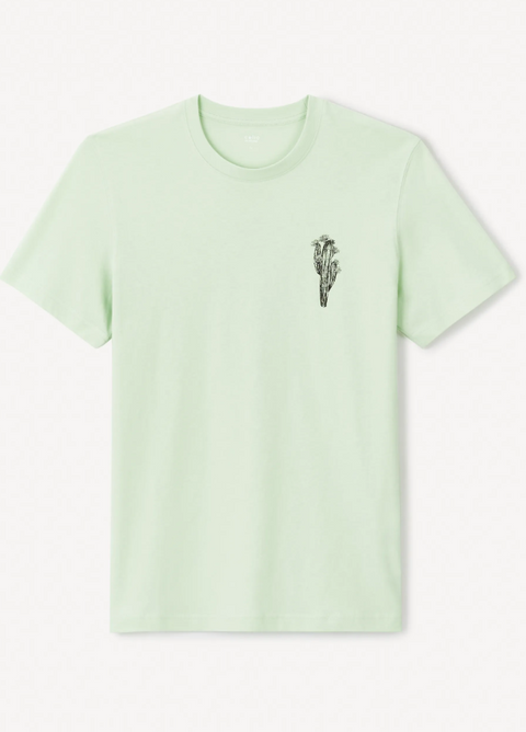 Celio Men's Mint Green Graphic T-Shirt | Celio in Lebanon