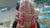 Sara Bakery Kaak 400g  | Sara In Lebanon