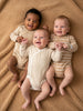 Sinsay Baby Boy's 3-Pack Bodysuit Beige & White AYA