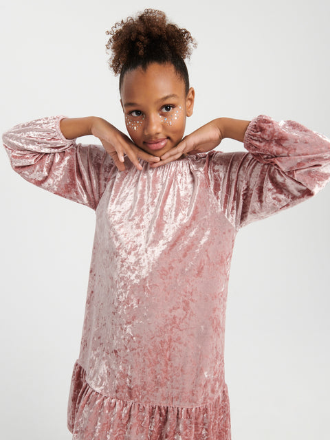 Young girl wearing a pink velvet dress against a white background