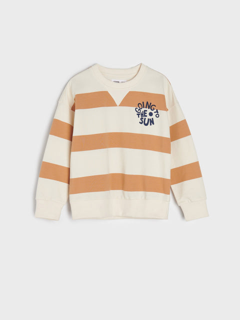 Sinsay Boy's Beige Long Sleeve Sweatshirt | Sinsay In Lebanon