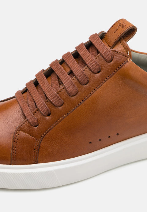 Joop Men's Brown Tratto Largo xc6 Sneakers | Joop In Lebanon