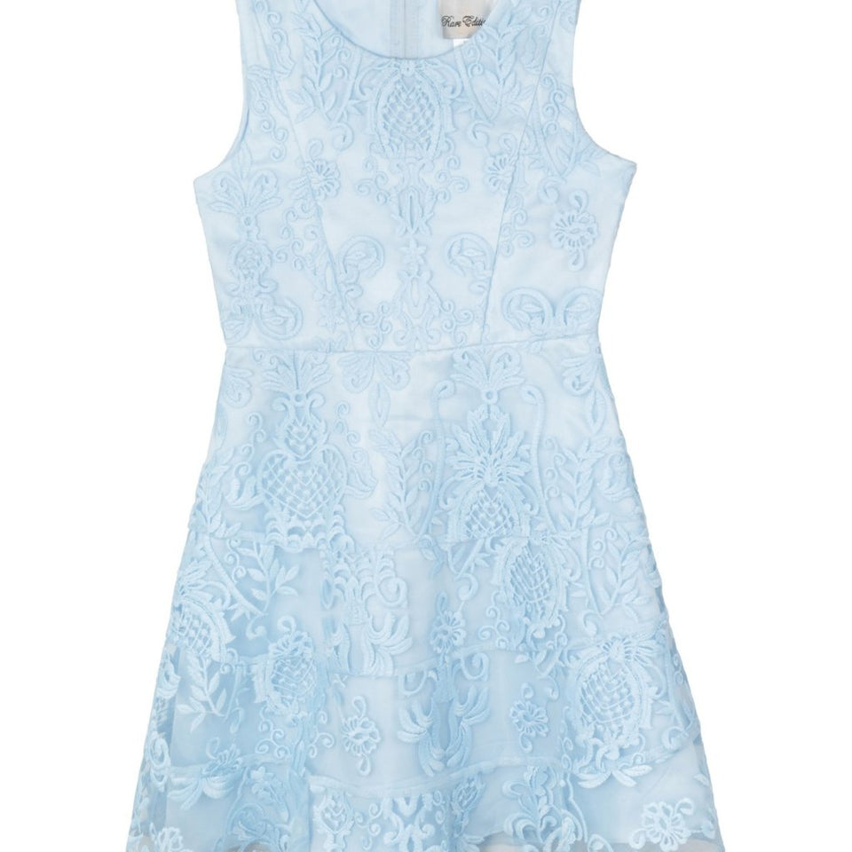 Rare Editions Girl's Baby Blue Embroidered Mesh A-Line Social Dress