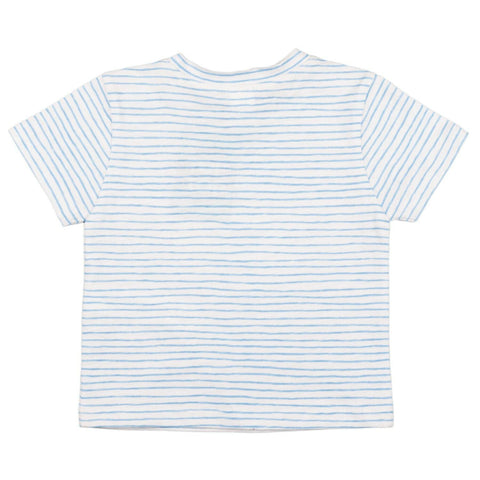 Charanga Baby Boy's  Multicolor T-Shirt 78530 CR23 shr
