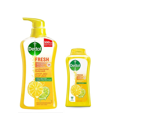 Dettol Fresh Antibacterial Handwash Liquid 500ml + 250ml Free | Dettol  In Lebanon