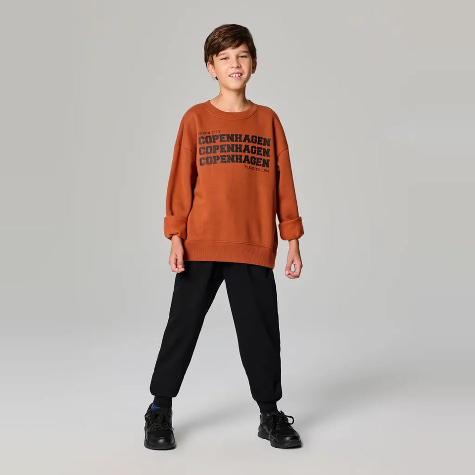 Sinsay Boy's Brick Crewneck Chest Graphic Sweatshirt