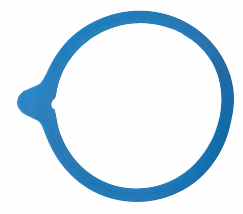 Globus Blue Pack Of 10 Sealing Rings | Globus In Lebanon