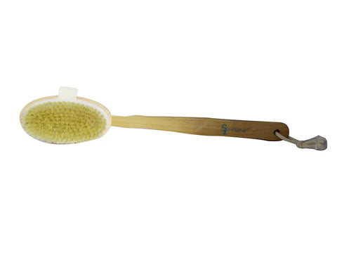 Sponge By SPC Bath Massage Brush with Wooden Hand  SP-674