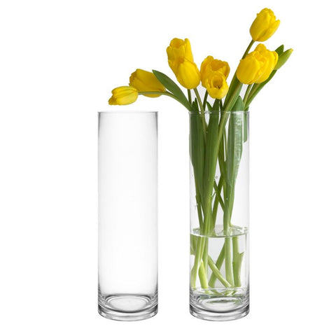 SD Transparent Glass Cylinder Flower Vase | SD In Lebanon