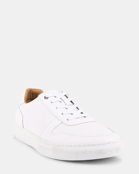 Steve Madden Men's White Leather Arkken Sneakers  |Steve Madden In Lebanon