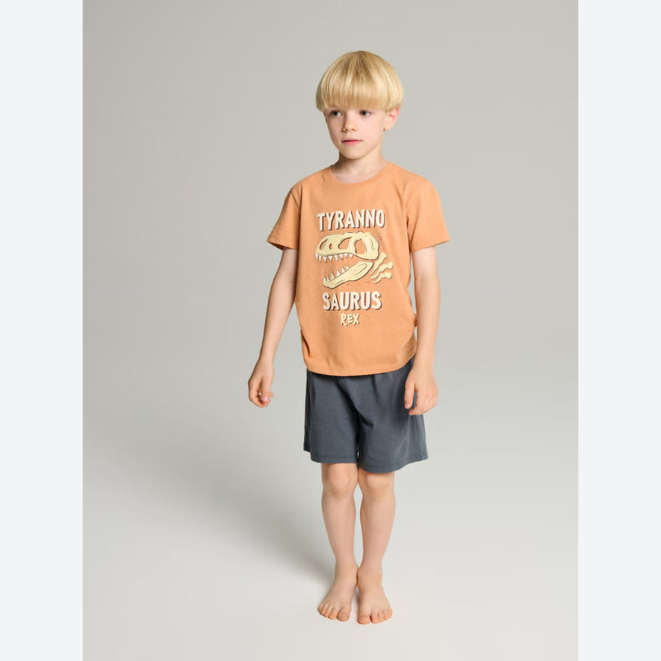 A young boy with blonde hair stands barefoot against a light gray studio background, wearing a short-sleeve orange graphic T-shirt with a dinosaur print and the words 'TYRANNO SAURUS' and dark gray shorts.