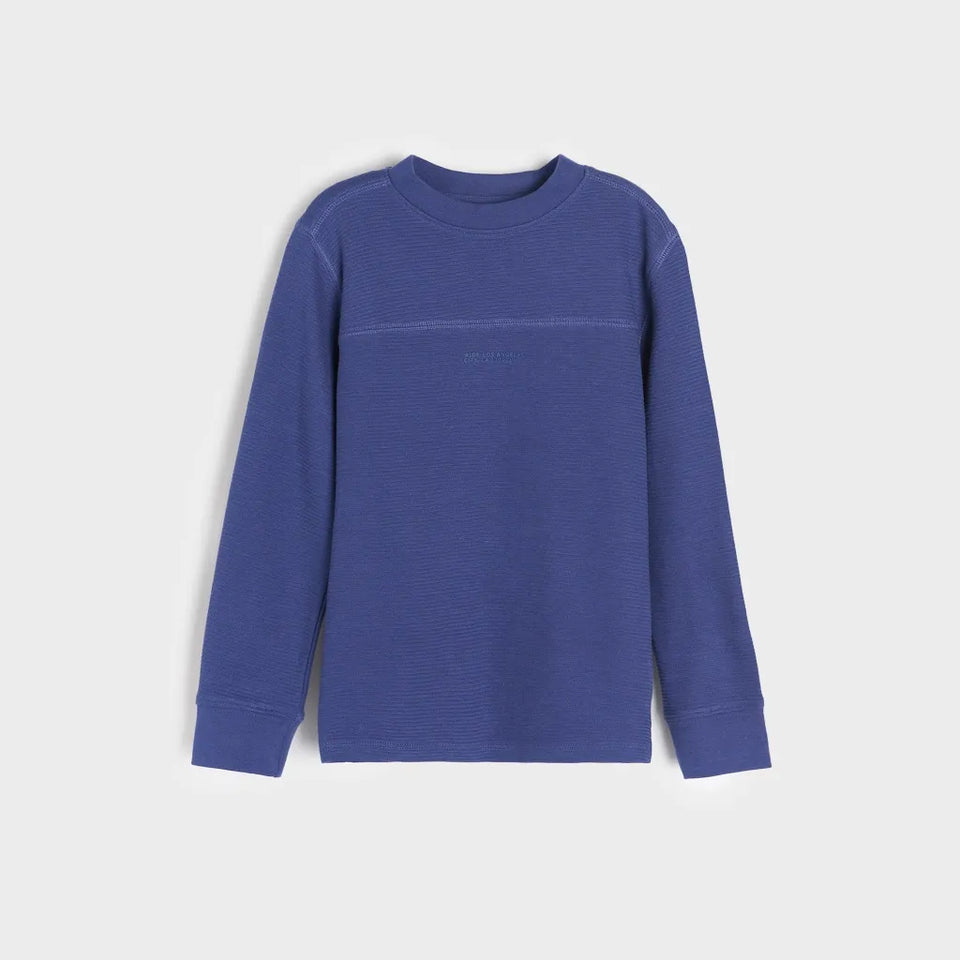 Sinsay Boy's Dark Blue Crew-Neck Blouse
