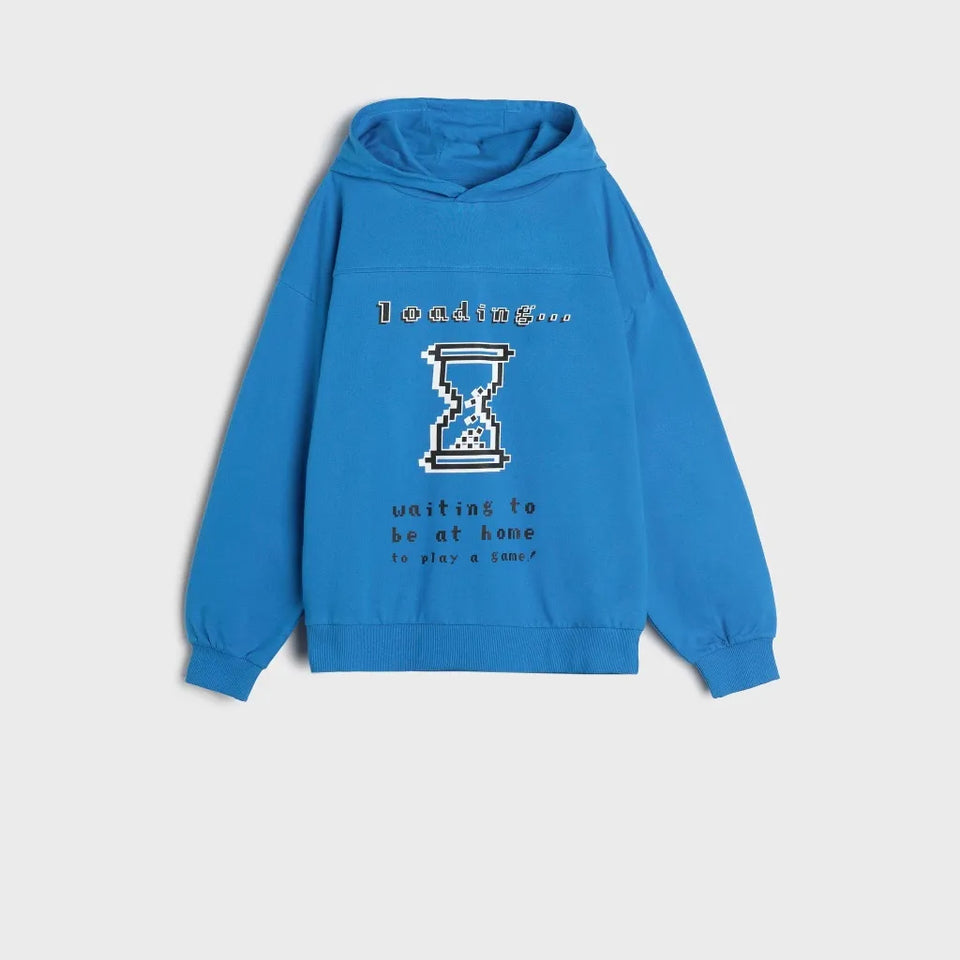Sinsay Boy's Blue Printed Hoodie