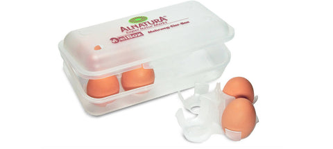 Rewe Dein Markt MeiBox Reusable Egg Box | Rewe In Lebanon