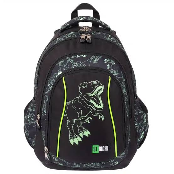 St.majewski Reflective T-Rex Backpack with 3 Compartments 3-CD-7985