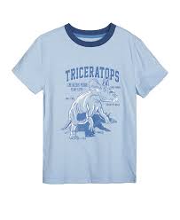 Epic Threads Boy's Blue T-Shirt ABFK130 shr