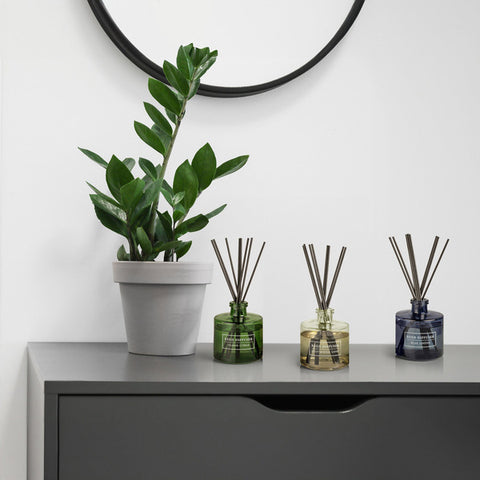 Bellevue 6oz. Reed Diffuser, Set of 3 |Bellevue In Lebanon