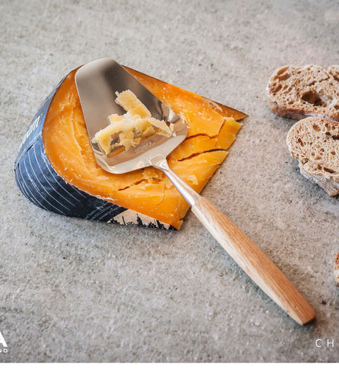 Boska Oslo Stainless Steel Cheese Slicer |Boska In Lebanon