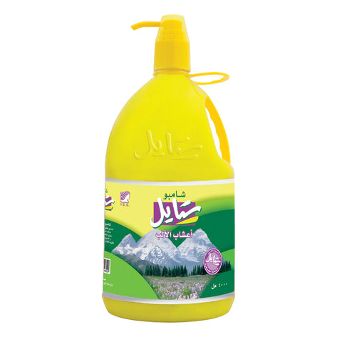 Style Hair Shampoo 4L | Style In Lebanon