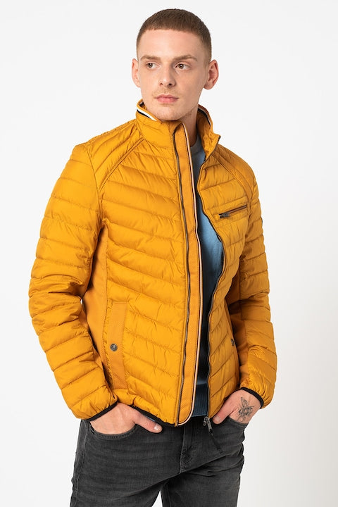 Tom Tailor Men's Yellow Zip-up Jacket With Thin Padding | Tom Tailor In Lebanon