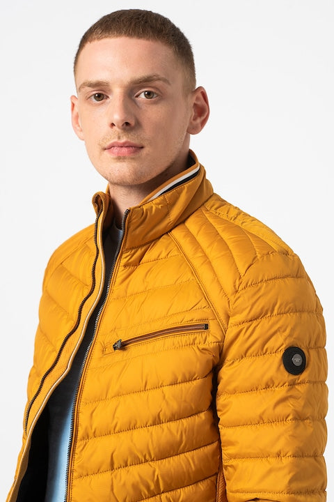 Tom Tailor Men's Yellow Zip-up Jacket With Thin Padding | Tom Tailor In Lebanon