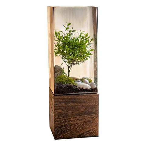 Hinox Square Glass Vase With Wood Base DO-2 | Hinox In Lebanon