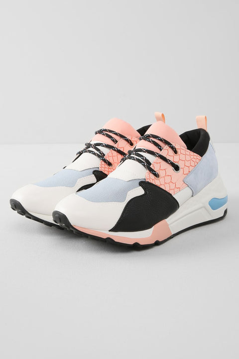 Steve Madden Women's Blue & Pink Cliff Sneaker | Steve Madden In Lebanon