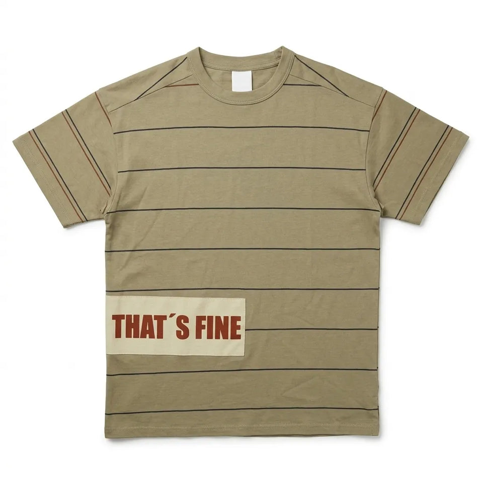 Zara Boy's Khaki Striped Graphic Short Sleeve T-Shirt|Zara In Lebanon