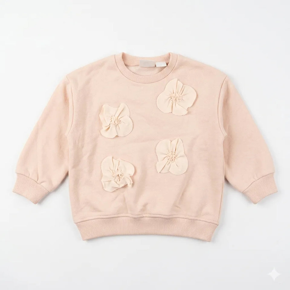 Zara Girl's Dusty Rose Floral Appliques Long Sleeve Pullover Sweatshirt|Zara in Lebanon