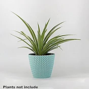 Prosperplast Light Green H 11.5 cm Plastic Vase | Prosperplast In Lebanon