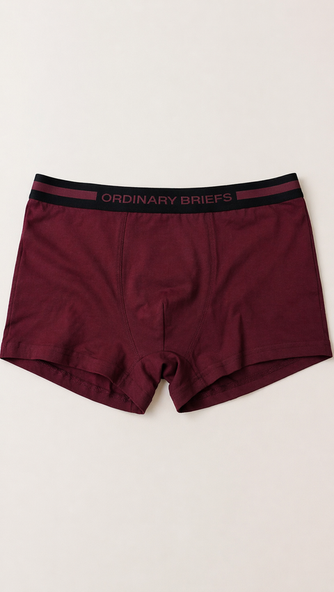 Sinsay Men’s Burgundy Cotton Rich Boxer| Sinsay in Lebanon