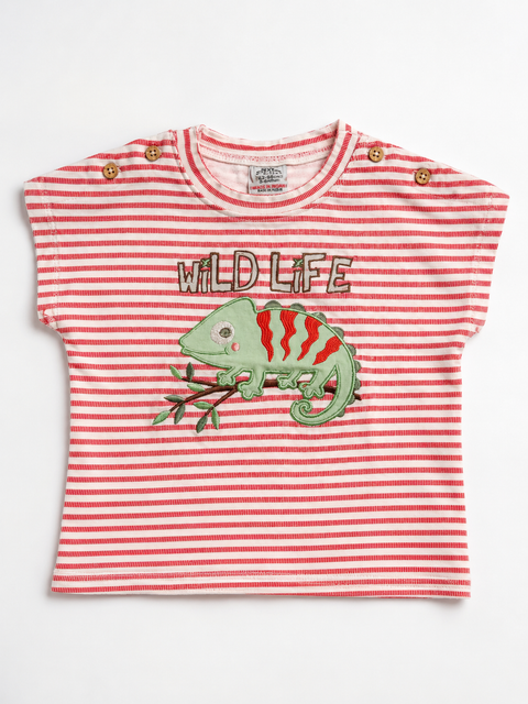 Charanga Baby Boy's White & Red Striped T-Shirt | Charanga In Lebanon