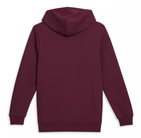 Alternative Men's Burgundy Hoodie | Alternative In Lebanon