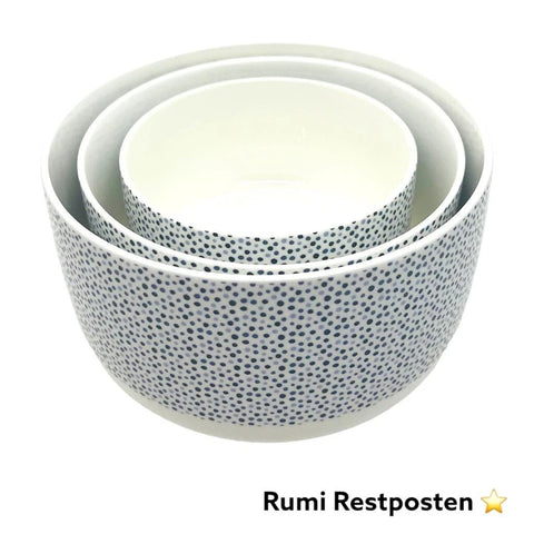 Vivess 3 Stay-Fresh Porcelain Bowls With Plastic Lids | Vivess In Lebanon