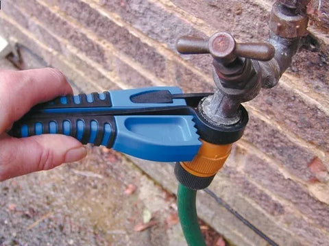 Baby Boa Blue Constrictor The Power To Open 100mm | Baby Boa In Lebanon