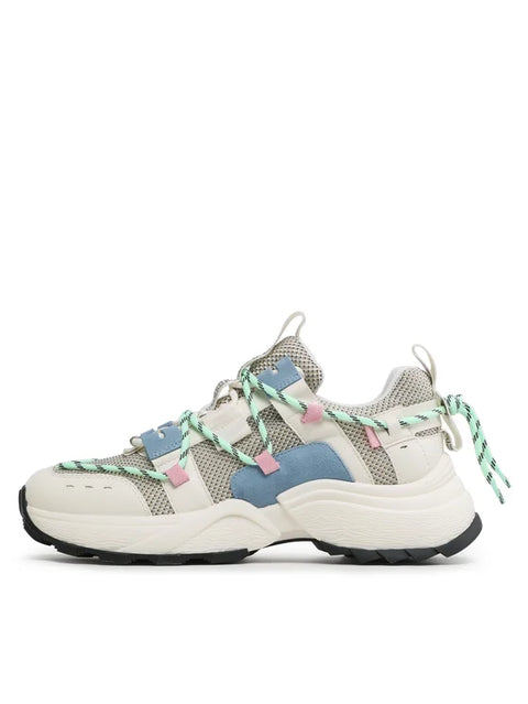 Steve Madden Women's Multicolor Tazmania Sneakers | Steve Madden In Lebanon