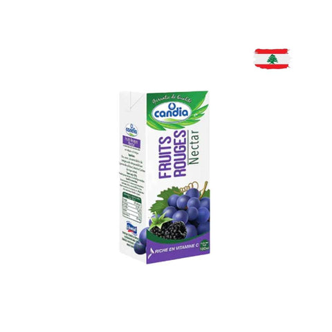 Candia Fruits Rouges Nectar 180ml | Candia in Lebanon