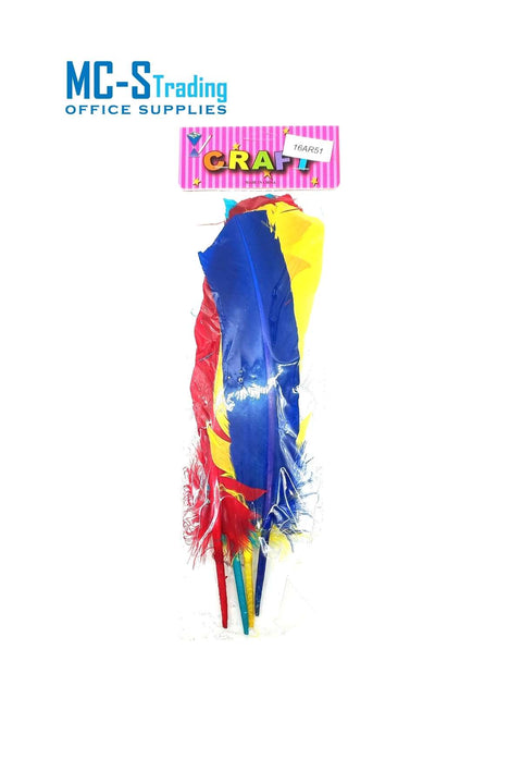 Craft Material Feather 16AR51